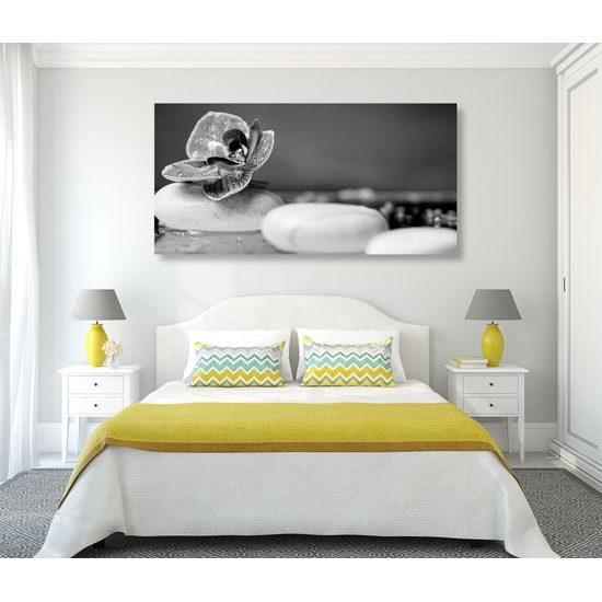 Obraz zaujímavé biele Zen kamene a kvet orchidei v čiernobielom prevedení