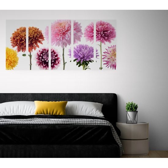 5-dielny obraz kvety dálie v rôznych farbách