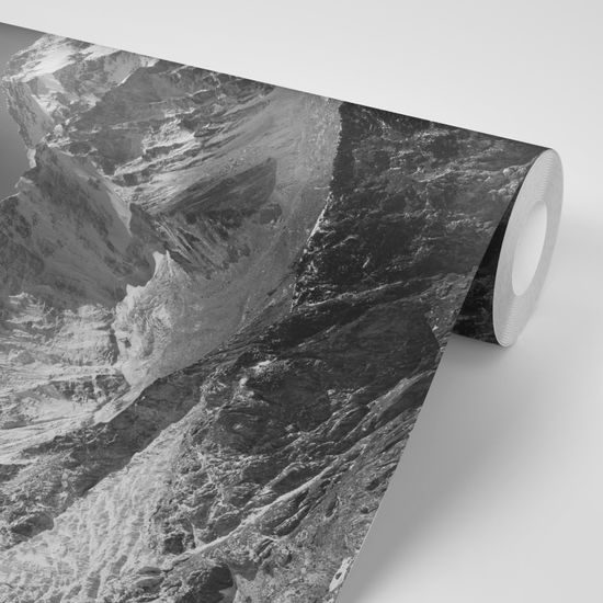 Samolepiaca fototapeta čiernobiely letný pohľad na ľadovec