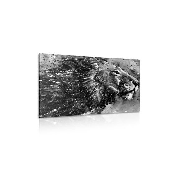 Obraz majestátny lev v čiernobielom prevedení