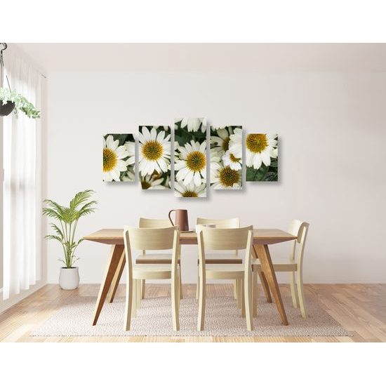 5-dielny obraz liečivý rumanček