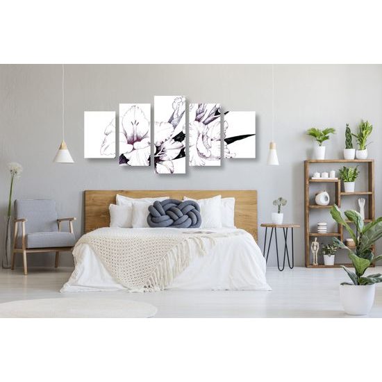 5-dielny obraz minimalistická ilustrácia gladioly