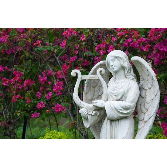Samolepiaca fototapeta socha anjela s harfou