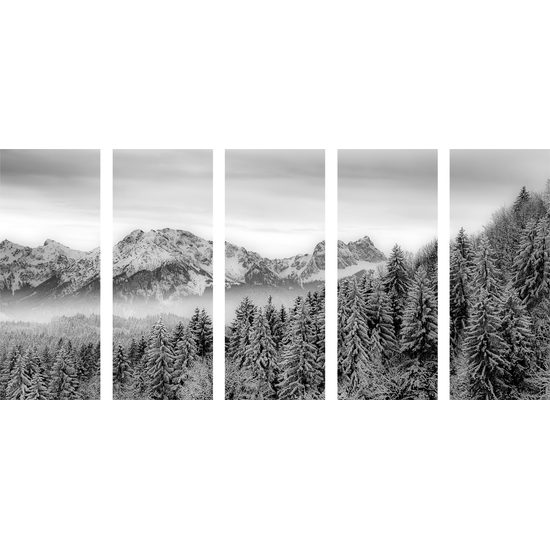 5-dielny obraz čiernobiela zamrznutá krajina
