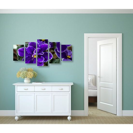 5-dielny obraz kvitnúca fialka