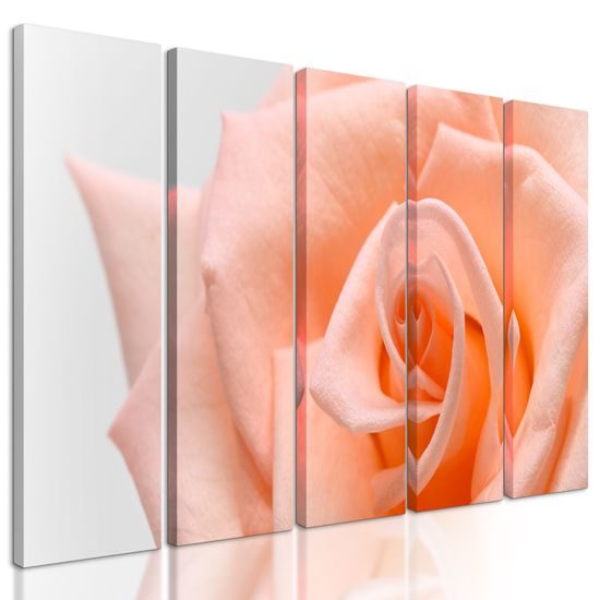 5-dielny obraz precízny detail na oranžovú ružu