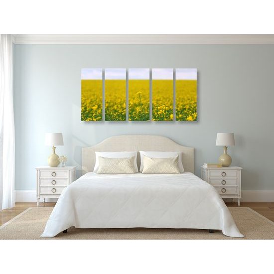 5-dielny obraz rozkvitnutá lúka