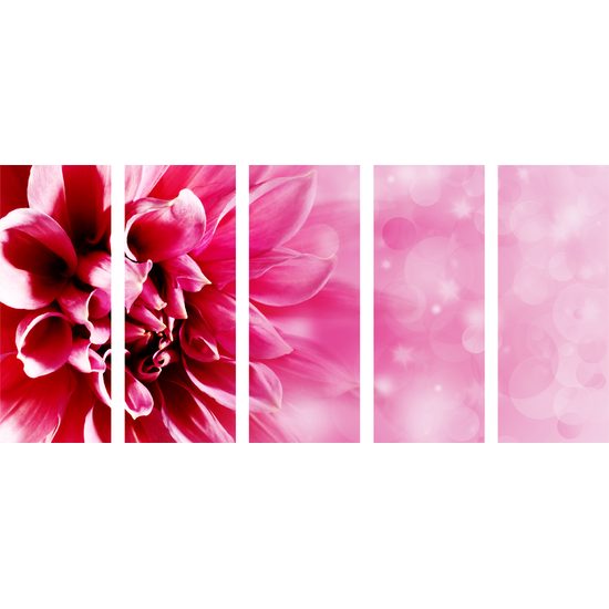 5-dielny obraz detail ružového kvetu