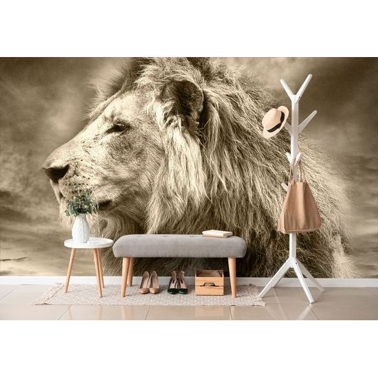 Samolepiaca fototapeta sépiová hlava leva