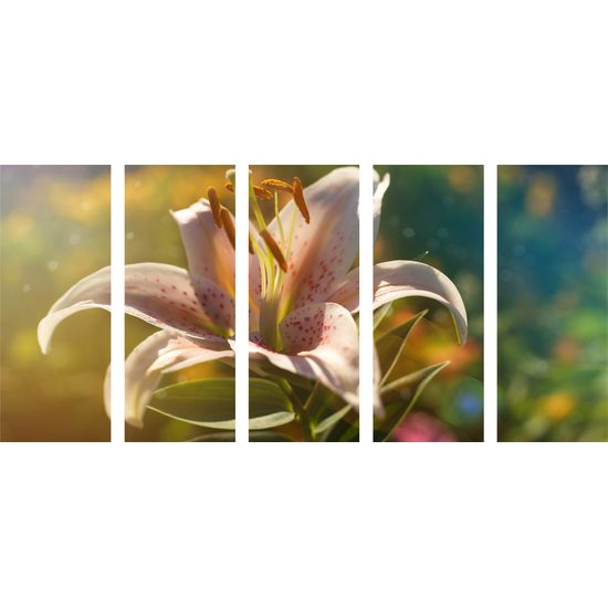 5-dielny obraz kvitnúci kvet