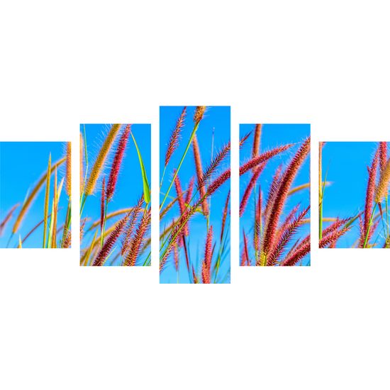5-dielny obraz lúka pod šírim nebom