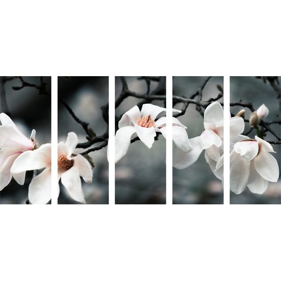 5-dielny obraz magnólia po zime