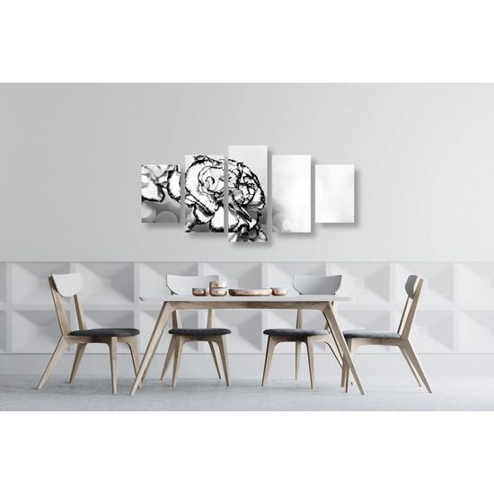 5-dielny obraz nádherný karafiát v čiernobielom prevedení