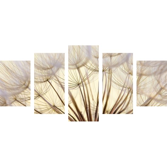 5-dielny obraz detail púpavy