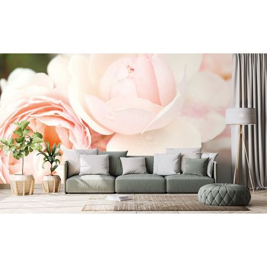 Samolepiaca fototapeta detail pastelovej ruže