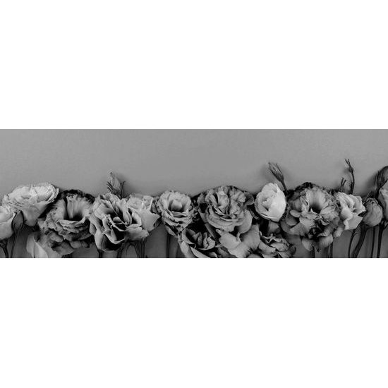 Obraz kvitnúce kvety v čiernobielom prevedení