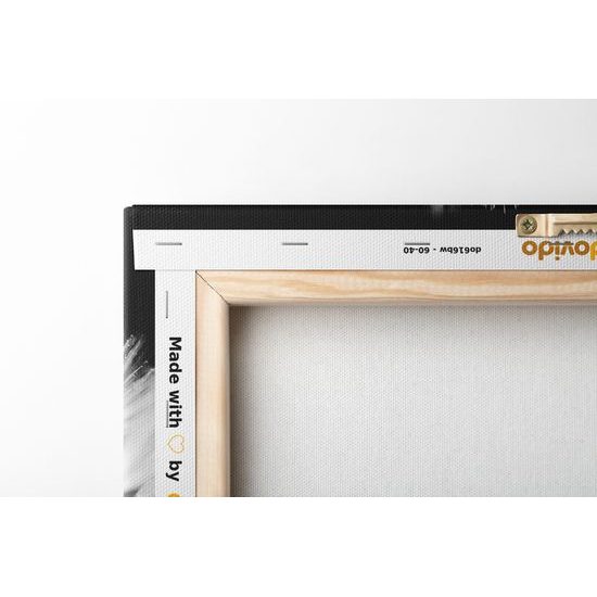 Obraz nádherný detail púpavy v čiernobielom prevedení