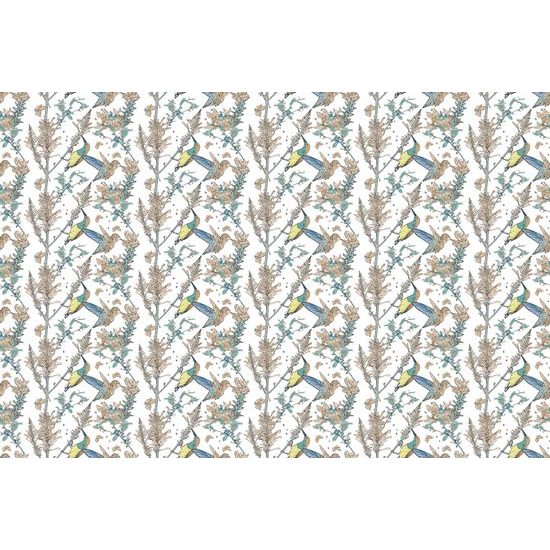 Tapeta lietajúce kolibríky