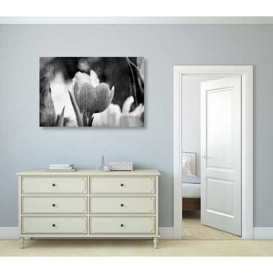 Obraz divý tulipán vo vintage štýle v čiernobielom prevedení
