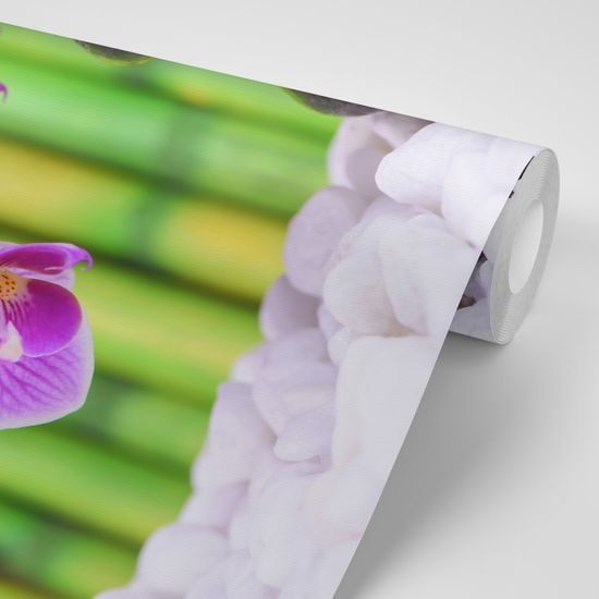 Samolepiaca fototapeta nádherná zen záhrada