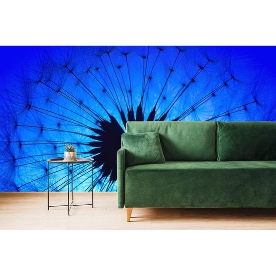 Samolepiaca tapeta rozprávková púpava