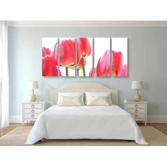 5-dielny obraz elegantné tulipány