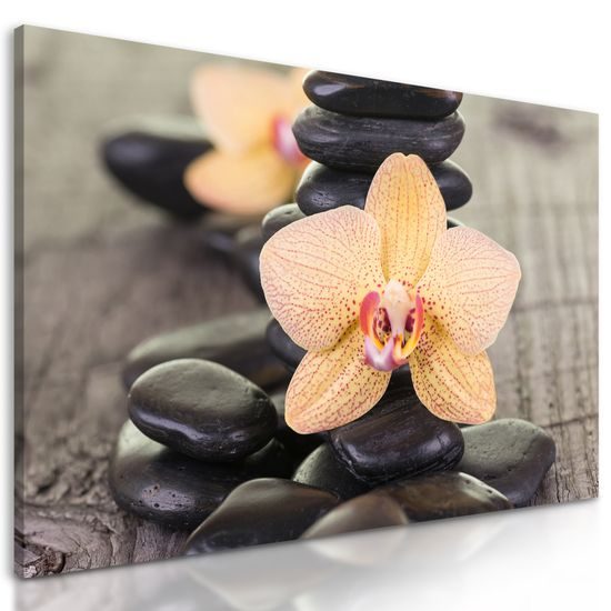 Obraz liečivé zen kamene
