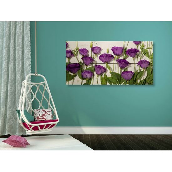 Obraz nádherné kvety s dreveným pozadím