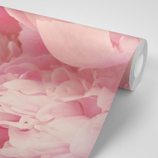 Samolepiaca tapeta ružové čaro kvetov