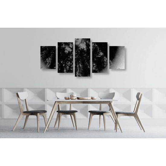 5-dielny obraz abstrakcia tropického lesa v čiernobielom prevedení