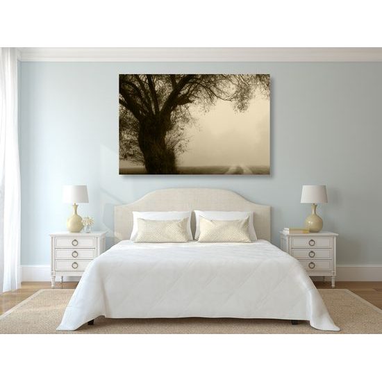 Obraz pole zahalené v rannej hmle v sépiovom prevedení