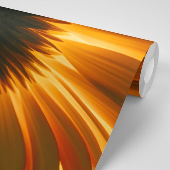 Neobyčajná samolepiaca fototapeta žiarivá gerbera