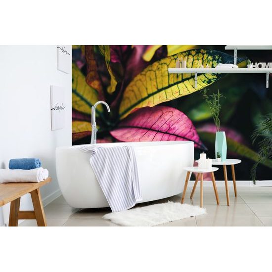 Samolepiaca fototapeta zaujímavé listy