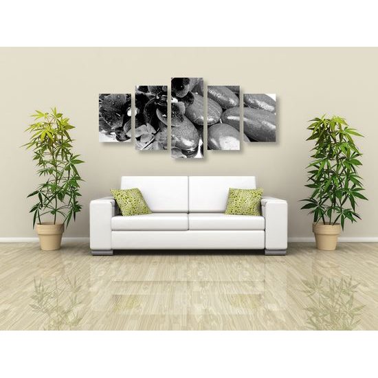 5-dielny obraz wellness zátišie a kvet orchidei v čiernobielom prevedení