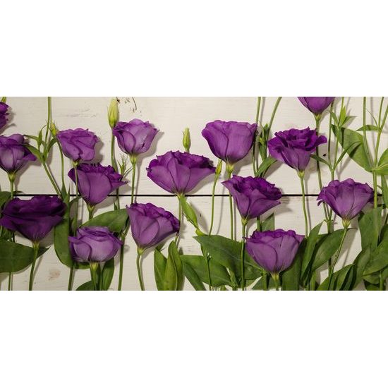 Obraz nádherné kvety s dreveným pozadím