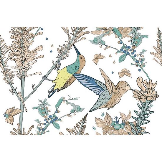 Samolepiaca tapeta lietajúce kolibríky