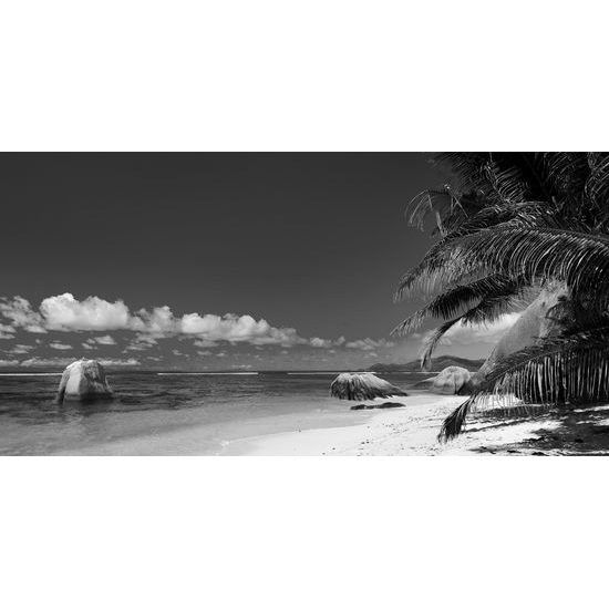 Obraz nádherná piesočná pláž v čiernobielom prevedení