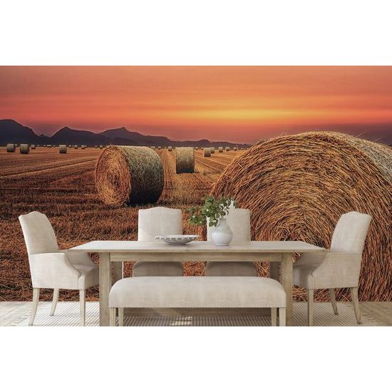 Samolepiaca fototapeta pole s balíkmi sena