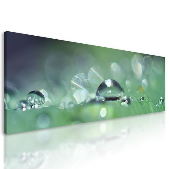 Obraz detail zameraný na kvapku rosy