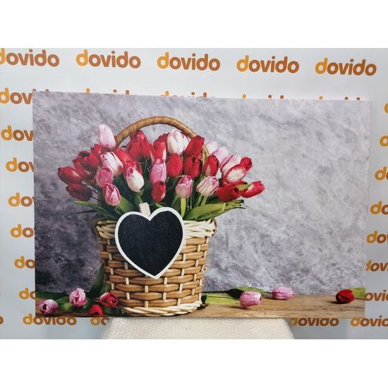 Obraz nádherná kytica tulipánov