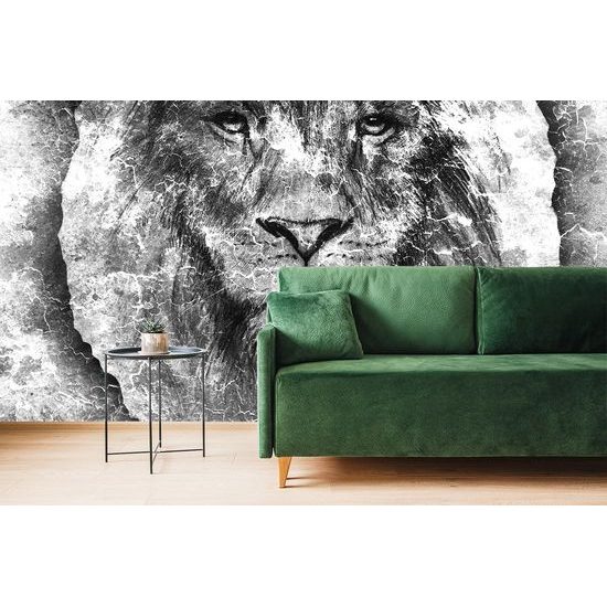 Samolepiaca tapeta čiernobiely pohľad leva