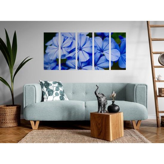 5-dielny obraz krásne nebesky modré kvety
