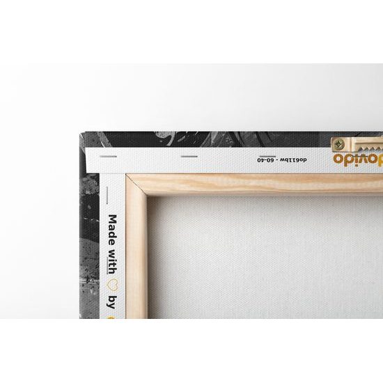 Obraz abstraktná lebka v čiernobielom prevedení