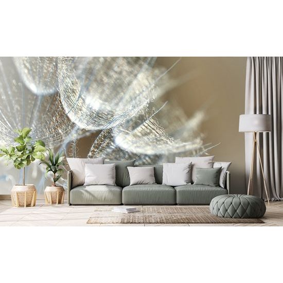 Samolepiaca tapeta makro záber púpavy