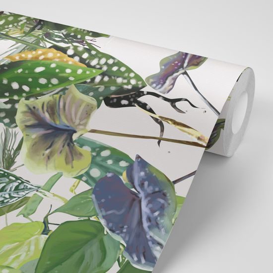 Tapeta pôvabné tropické listy