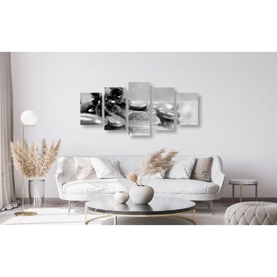 5-dielny obraz ukľudnujúca orchidea v čiernobielom prevedení