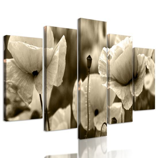 5-dielny obraz jedinečné divé maky v sépiovom prevedení