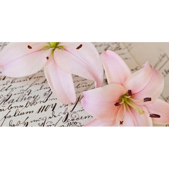 Obraz rúžová ľalia na ľúbostnom liste