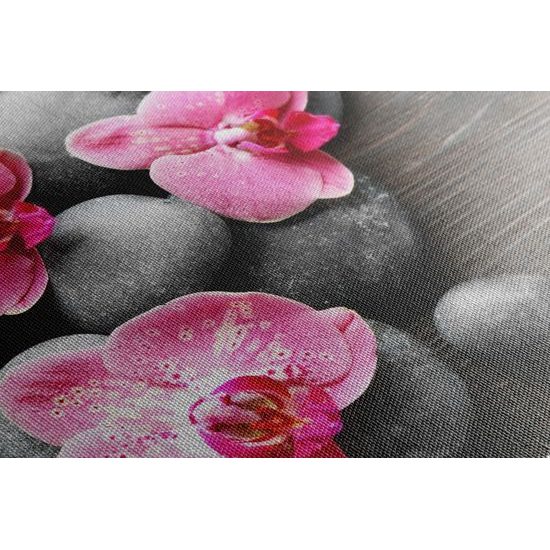 Obraz kvety orchidei na drevenom pozadí