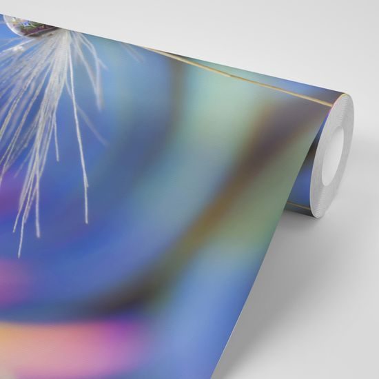 Fototapeta nádherná kvapka na farebnom pozadí